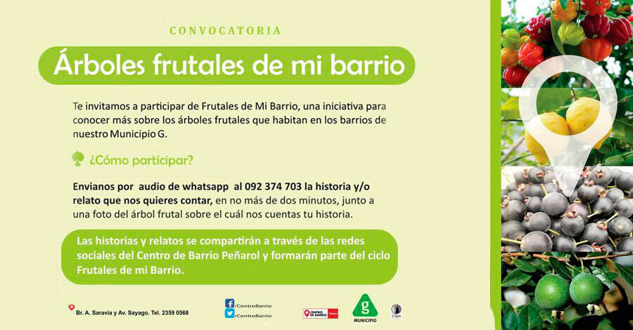 arboles frutales