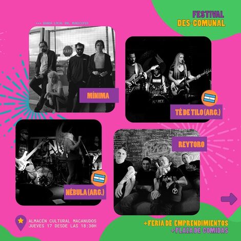 Festival descomunal almacen macanudos