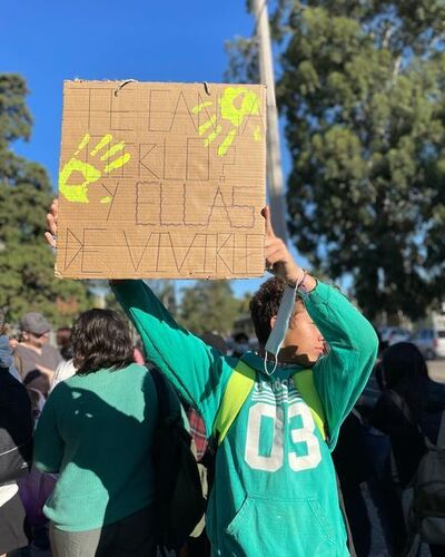 protesta liceo 9 03