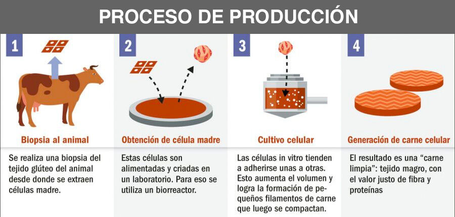 CARNE ARTIFICIAL proceso de produccion paso a paso
