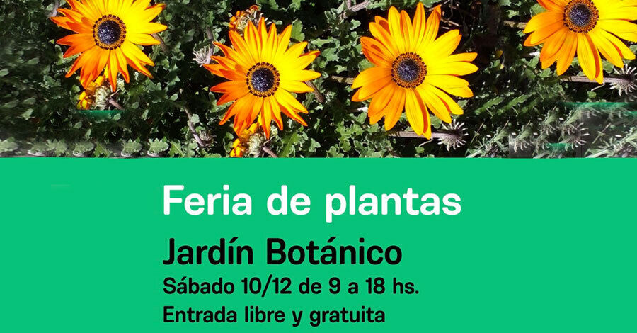 Feria de Plantas en el Jardín Botánico diciembre
