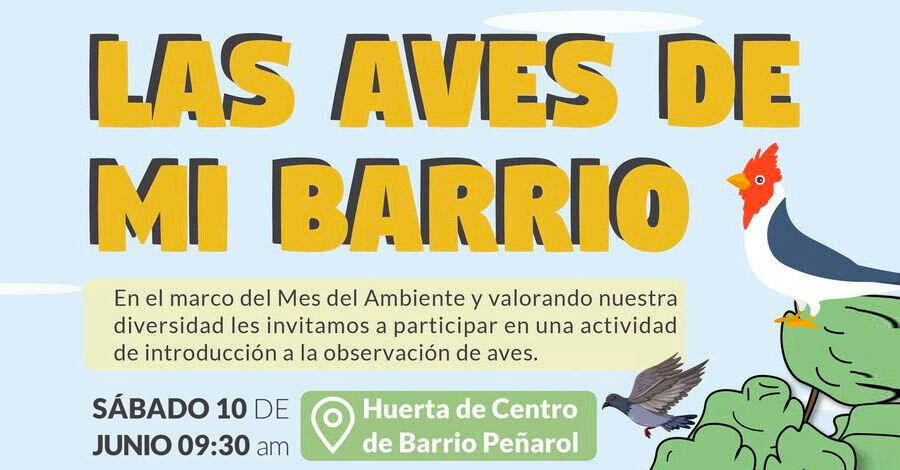 Las aves de mi barrio