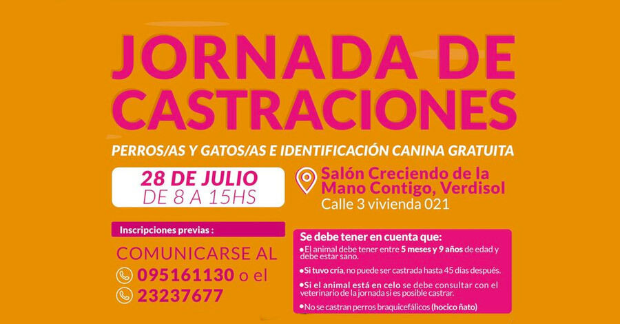 Jornada de Castraciones de perros y gatos en el Salón Creciendo de la Mano Contigo