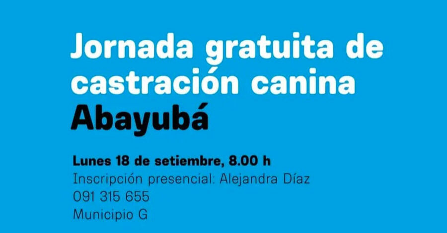 Jornada de castraciones de perros e identificación canina gratuita en el barrio Abayubá