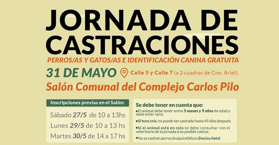 Jornada de castraciones de perros y gatos