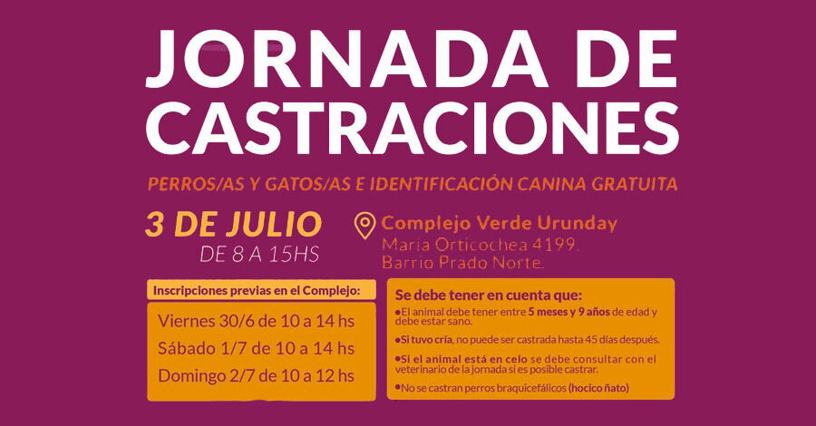 Jornada de Castraciones de perros y gatos en el Complejo Verde Urunday