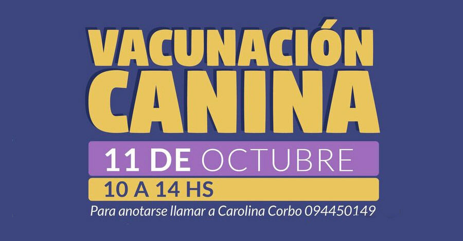 Vacunación Canina en el Club Isidro Fynn