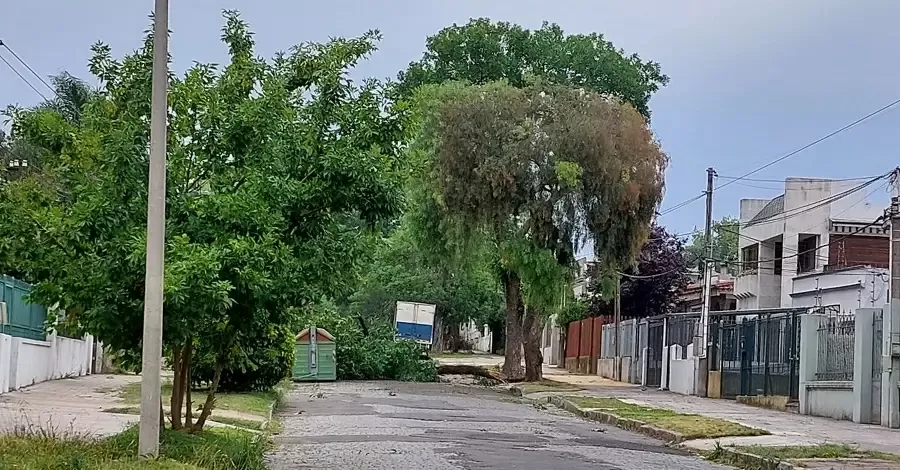 turbonada sayago penarol 03