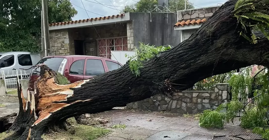 turbonada sayago penarol 04