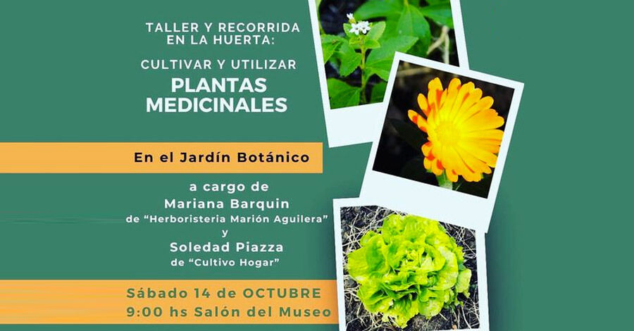Charla sobre como cultivar plantas medicinales en el Jardín Botánico