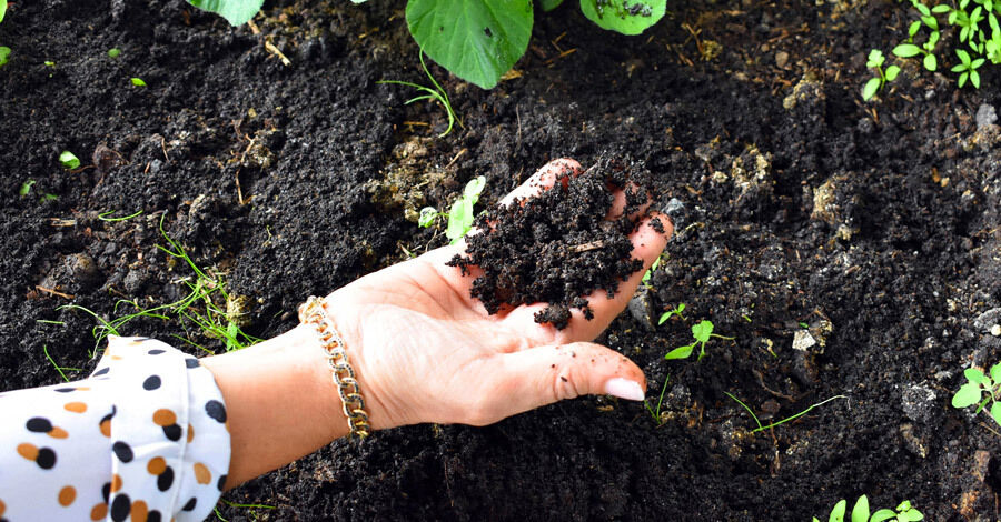 Talleres de compostaje domiciliario