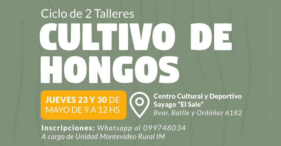 Taller de Cultivo de Hongos en el Centro Cultural y Deportivo Sayago