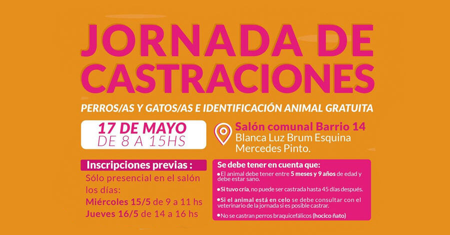 Jornada de castraciones gratuitas en Barrio 14