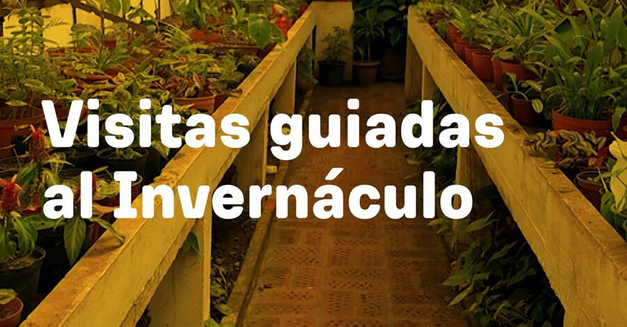 Visitas guiadas al Invernáculo del Jardín Botánico de Montevideo