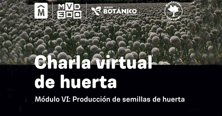 Ciclo de charlas Cultivos de Huerta