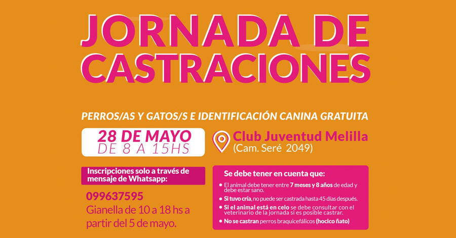 Castraciones en el Club Juventud Melilla