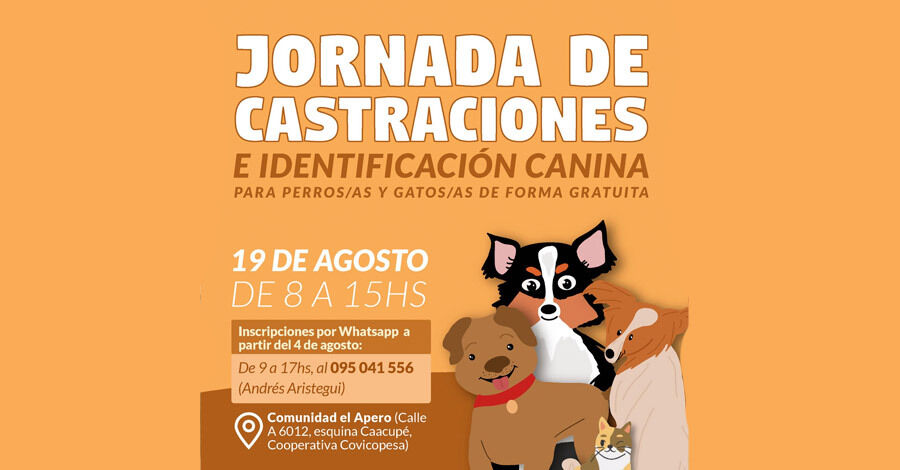 Castraciones gratuitas en Comunidad El Apero
