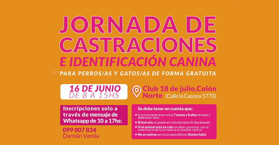 Castraciones gratuitas en el Club 18 de Julio Colón Norte