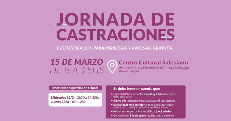 Jornada de castraciones en el Centro Cultural Salesiano