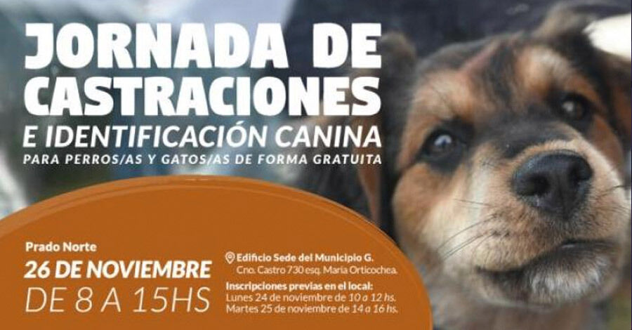 Jornada de castraciones gratuitas en la sede central del Municipio G