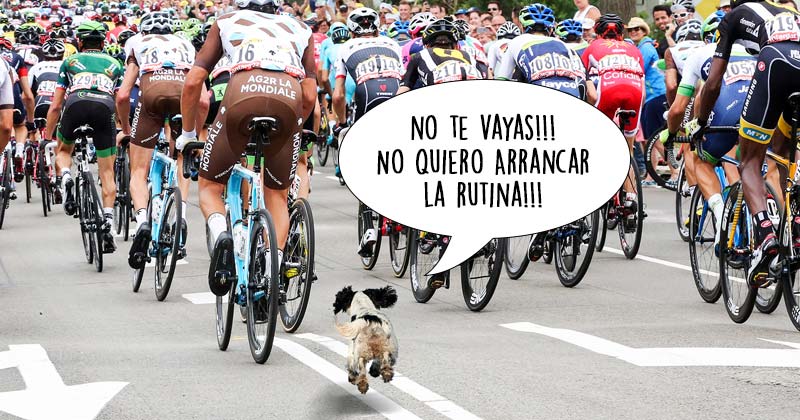Humor de viernes Arrancandonga