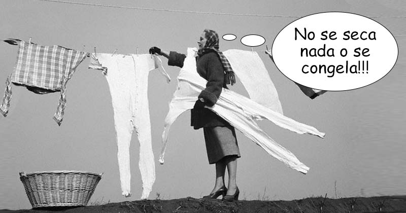 Humor de viernes Plantígrados polares varios 2