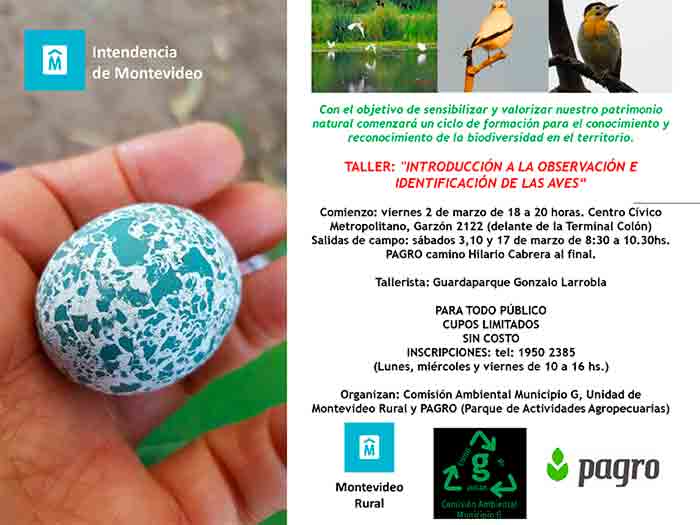 afiche aves 700