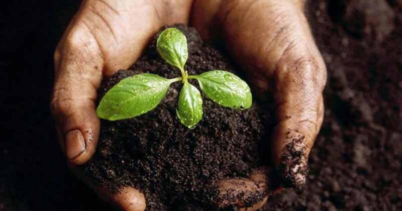 agroecologia