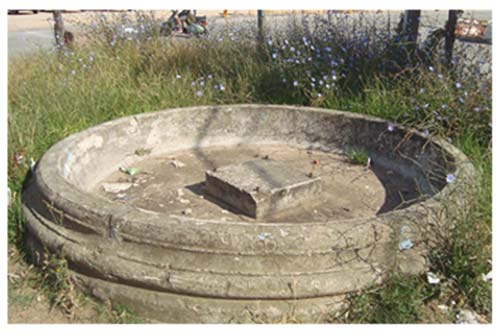 fuente de delmira agustini
