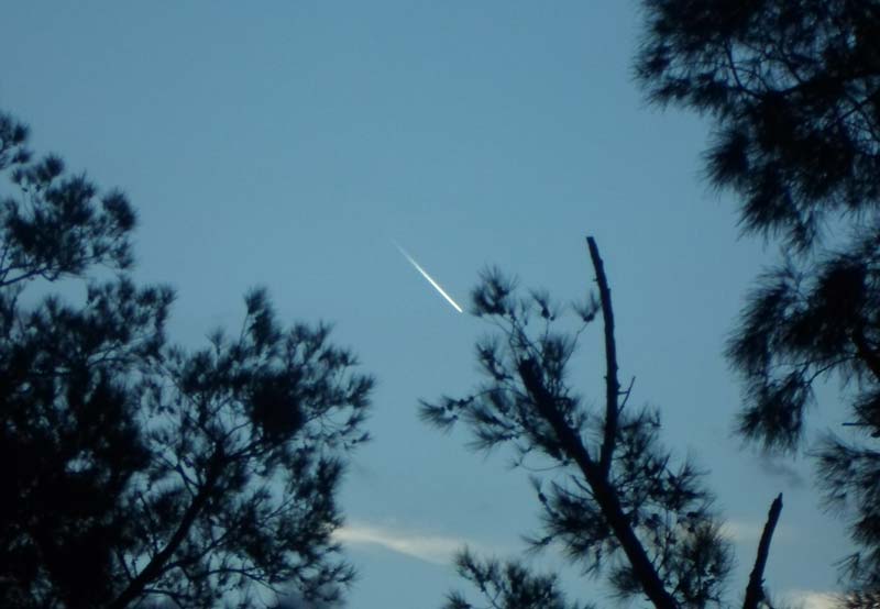 cometa 22 01 2019