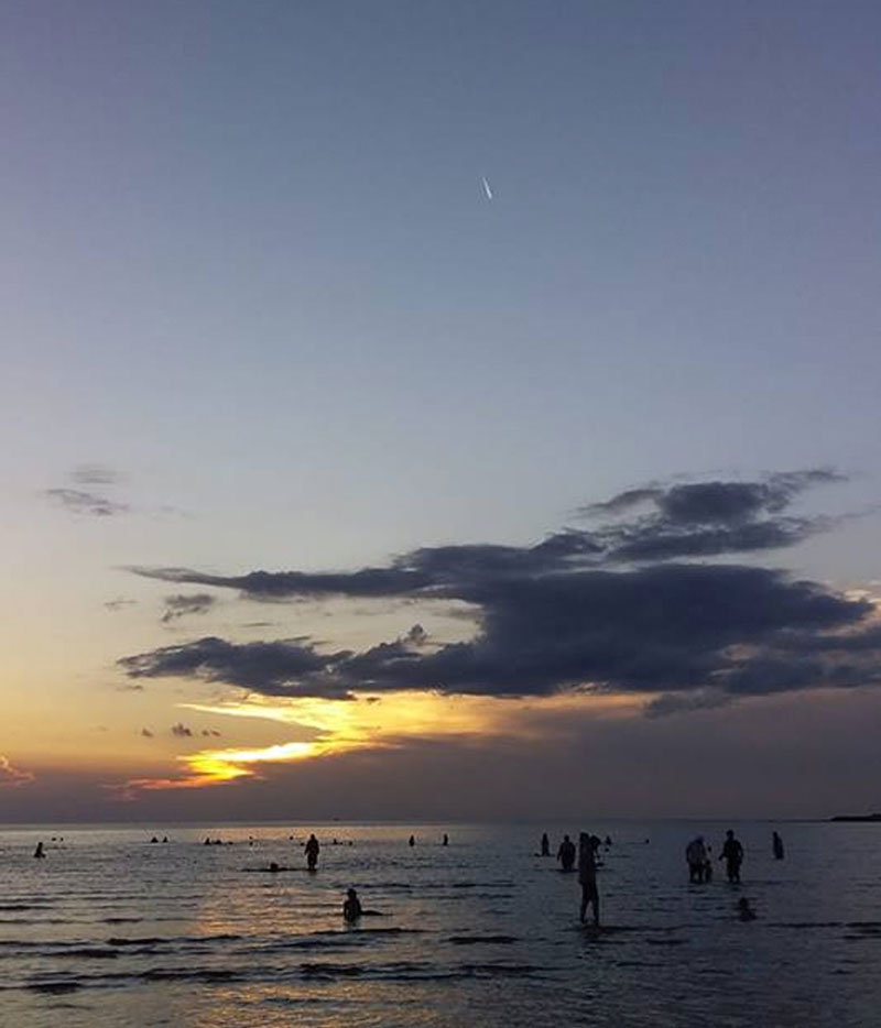 cometa4 22 01 2019