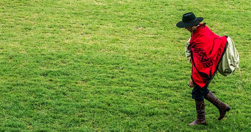 gaucho solo