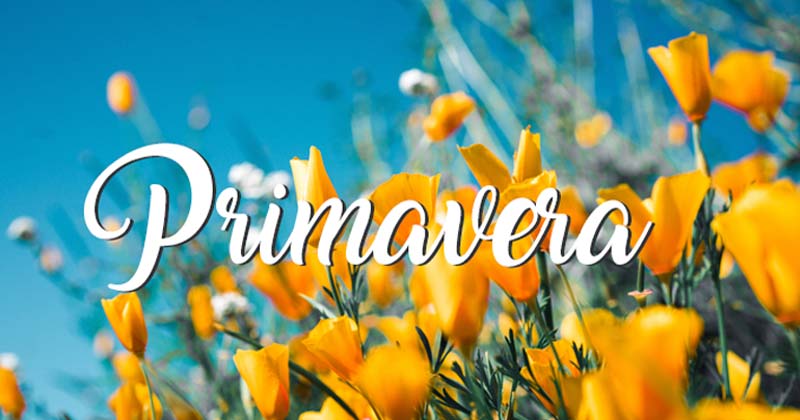primavera 2018