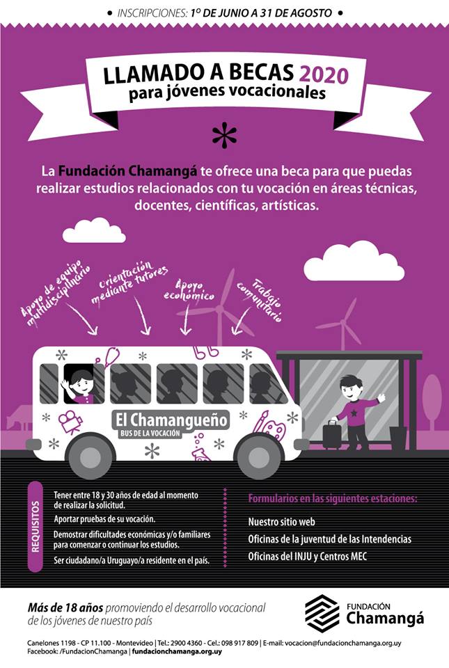 afiche becas 2020