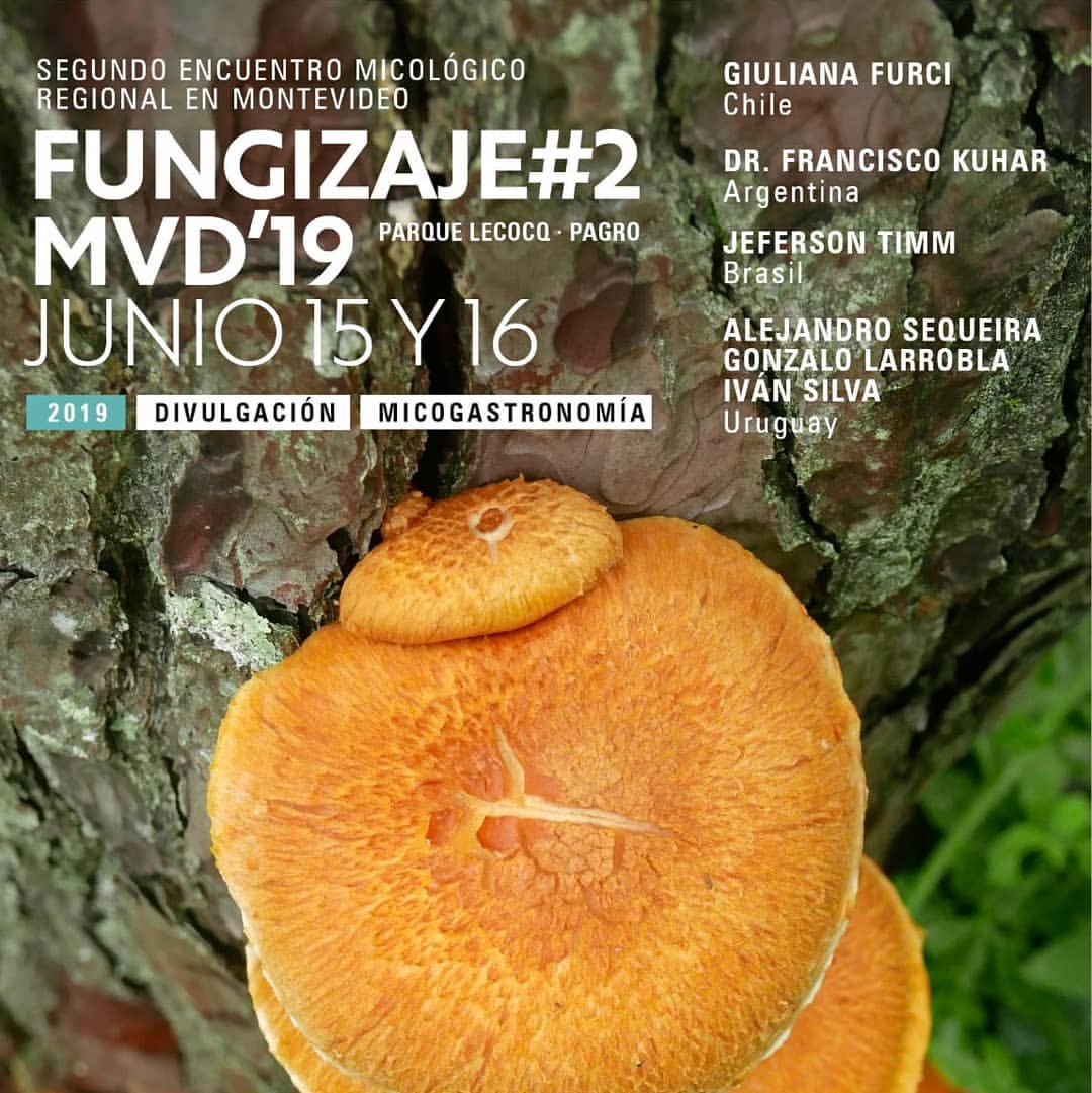 afiche