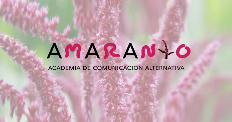 amaranto talleres 20191