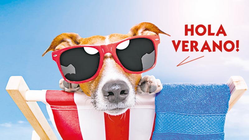 bienvenido verano
