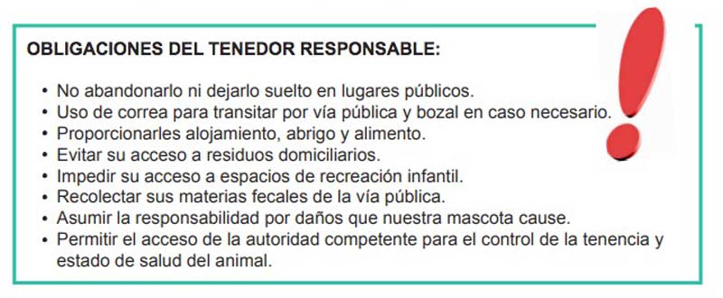 obligaciones