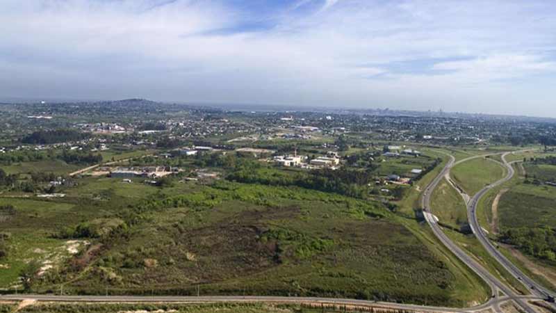 temblor en colon