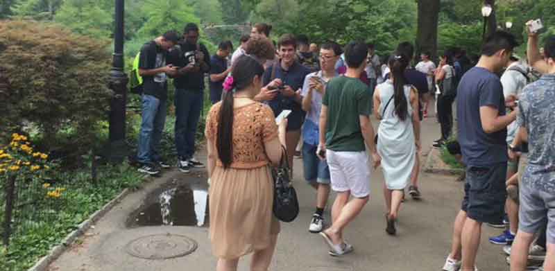 pokemon go gente