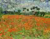 campo_amapolas